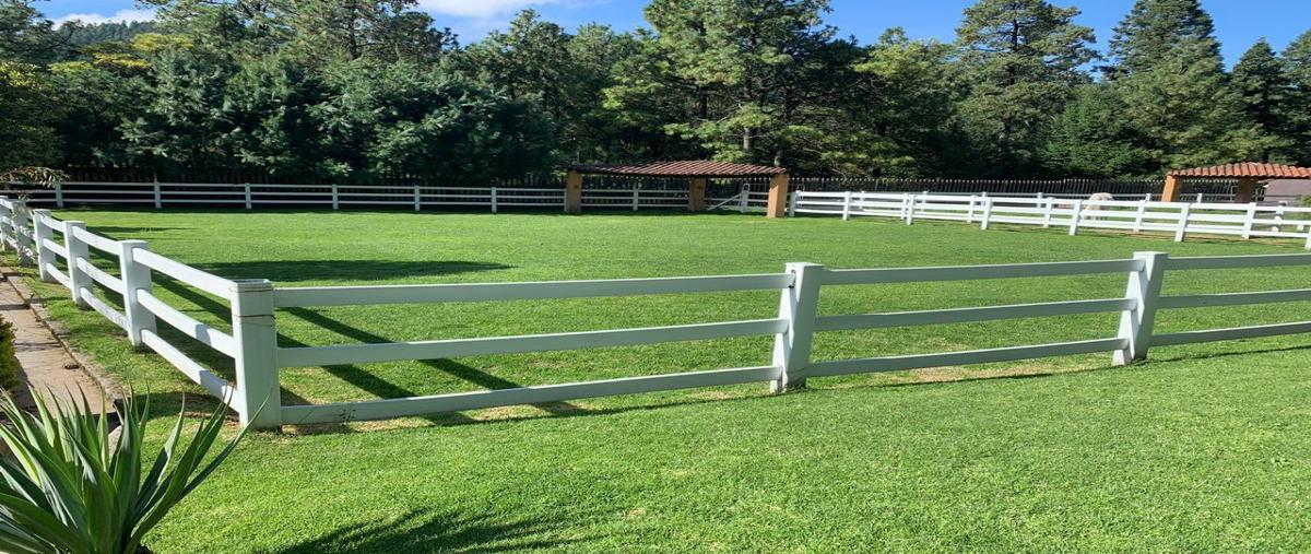 Foto de rancho en venta en  , salazar, lerma, méxico, 10572151 No. 05