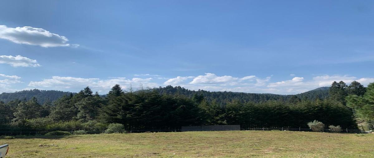 Foto de terreno habitacional en venta en  , salazar, lerma, méxico, 27716280 No. 04