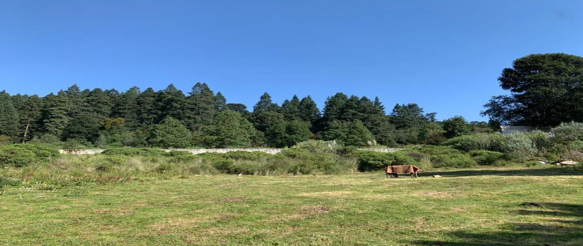 Foto de terreno habitacional en venta en  , salazar, lerma, méxico, 27716280 No. 05