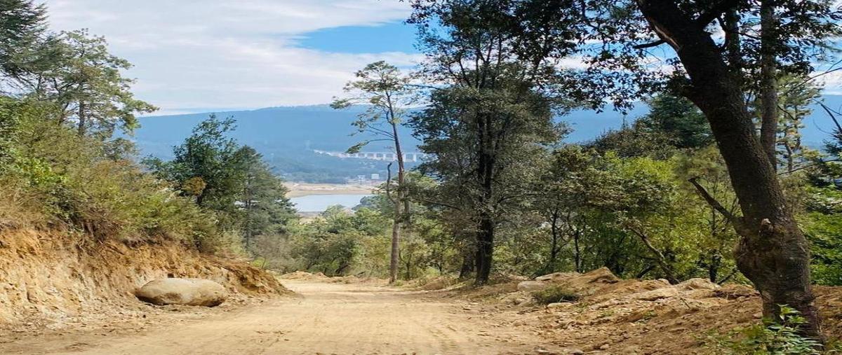 Foto de terreno habitacional en venta en  , salazar, lerma, méxico, 0 No. 03