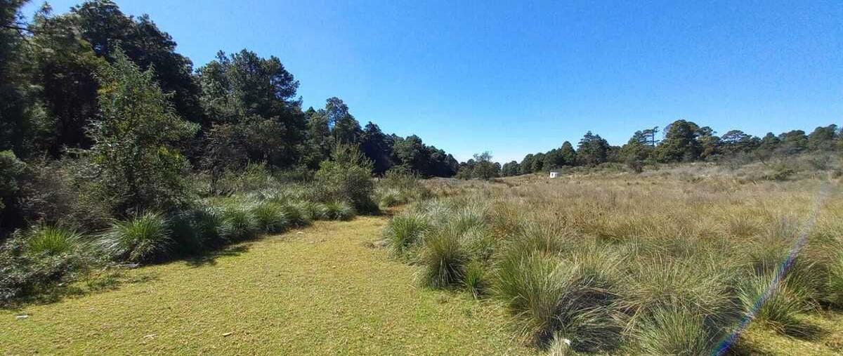 Foto de terreno habitacional en salazar , san agustín huitzizilapan, lerma, méxico, 28217855 foto 01 Foto de terreno habitacional en venta en salazar , san agustín huitzizilapan, lerma, méxico, 28217855 No. 01