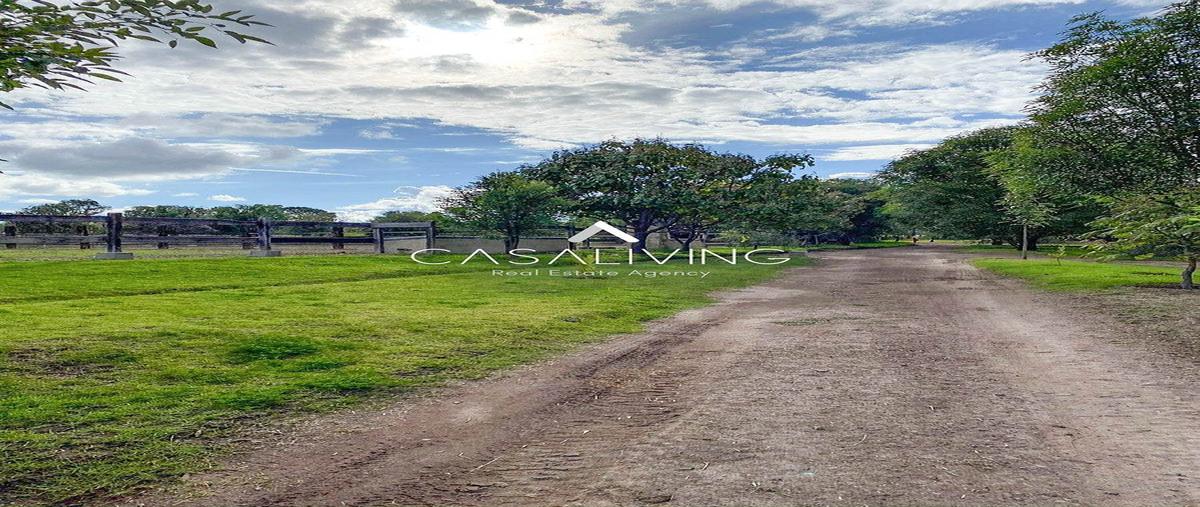 Foto de terreno habitacional en venta en salida a querétaro , corralejo de arriba, san miguel de allende, guanajuato, 0 No. 05