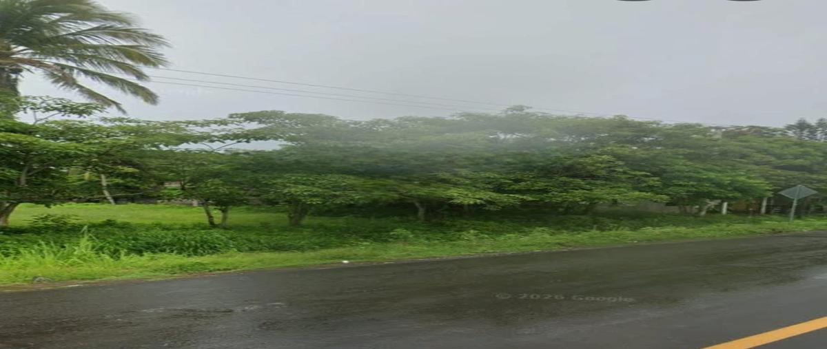 Foto de terreno habitacional en venta en  , salinas, alvarado, veracruz de ignacio de la llave, 31497532 No. 04