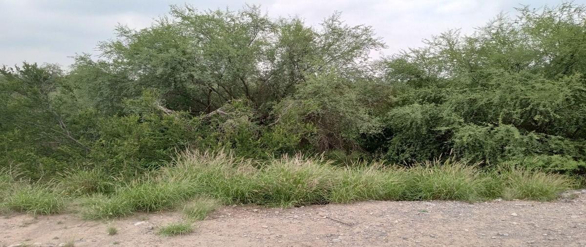 Foto de terreno industrial en renta en  , salinas victoria, salinas victoria, nuevo león, 0 No. 05
