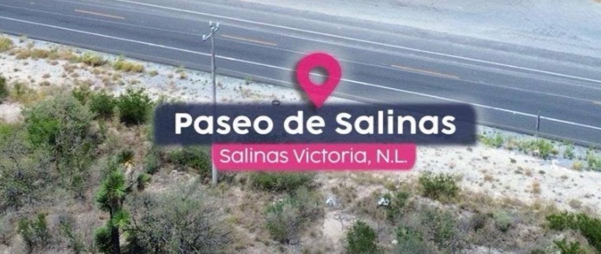 Foto de terreno habitacional en venta en  , salinas victoria, salinas victoria, nuevo león, 30804648 No. 05