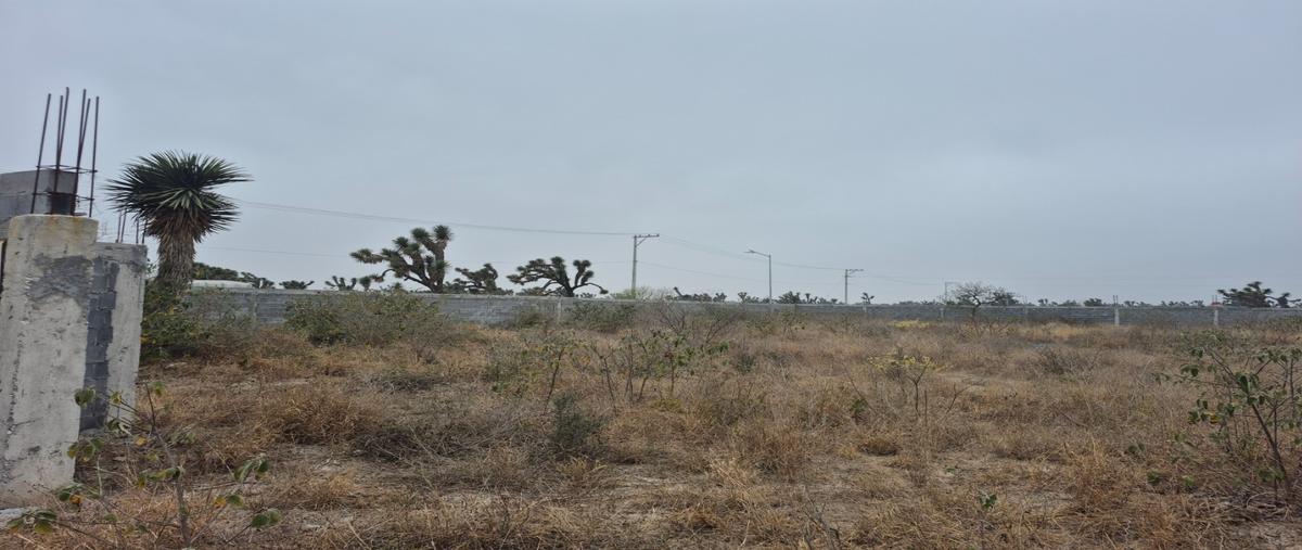 Foto de terreno habitacional en , salinas victoria, salinas victoria, nuevo león, 30907878 foto 01 Foto de terreno habitacional en venta en , salinas victoria, salinas victoria, nuevo león, 30907878 No. 01
