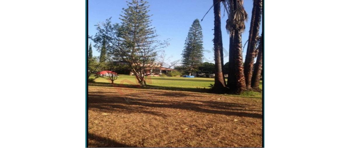 Foto de terreno habitacional en venta en salitre kilometro 90, san pedro tesistán, jocotepec, jalisco, 0 No. 02