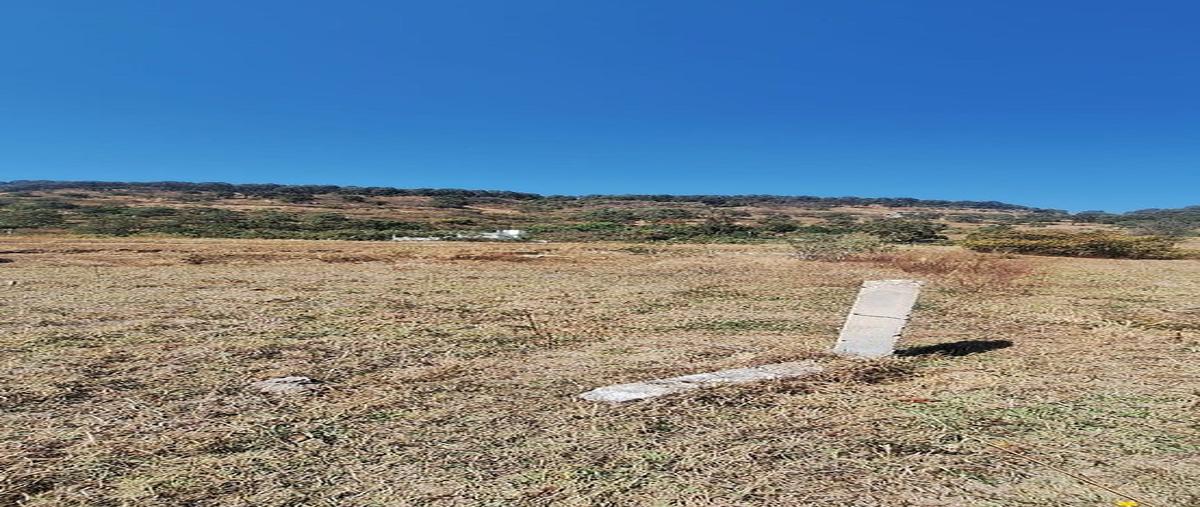 Foto de terreno habitacional en venta en salitre , san francisco mihualtepec, donato guerra, méxico, 0 No. 04