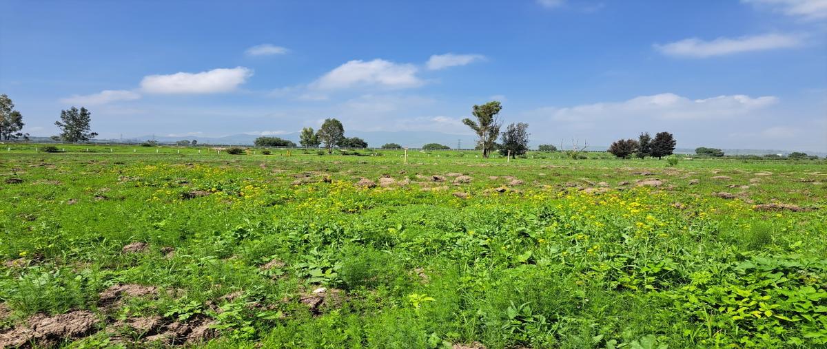 Foto de terreno habitacional en venta en  , salitrillo, huehuetoca, méxico, 0 No. 03