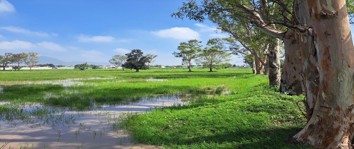 Foto de terreno habitacional en venta en  , salitrillo, huehuetoca, méxico, 0 No. 04