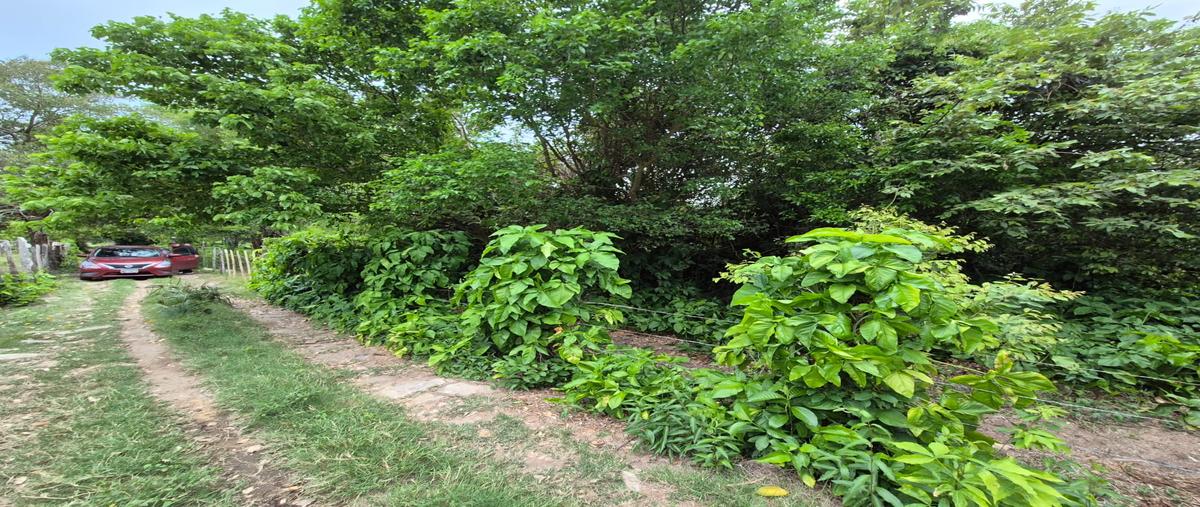 Foto de terreno comercial en venta en saloya 2da seccion , saloya 2 sección, nacajuca, tabasco, 0 No. 03