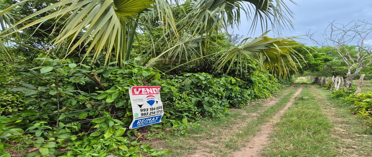 Foto de terreno comercial en venta en saloya 2da seccion , saloya 2 sección, nacajuca, tabasco, 0 No. 04