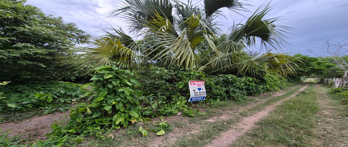 Foto de terreno comercial en venta en saloya 2da seccion , saloya 2 sección, nacajuca, tabasco, 0 No. 05