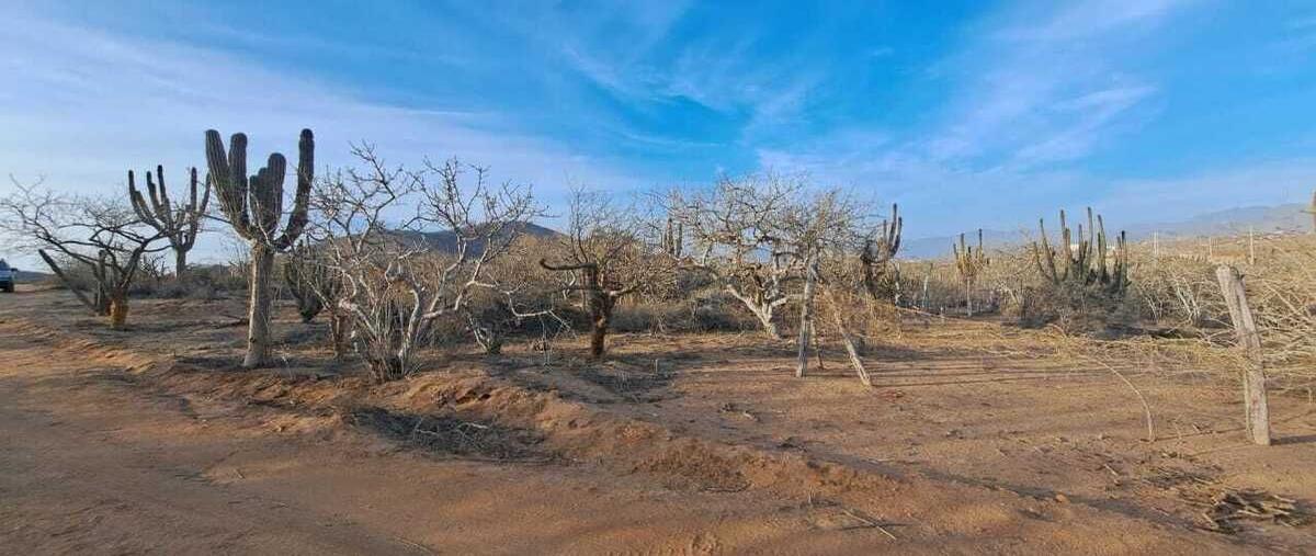 Foto de terreno habitacional en venta en salsipuedes , los cerritos, la paz, baja california sur, 0 No. 03