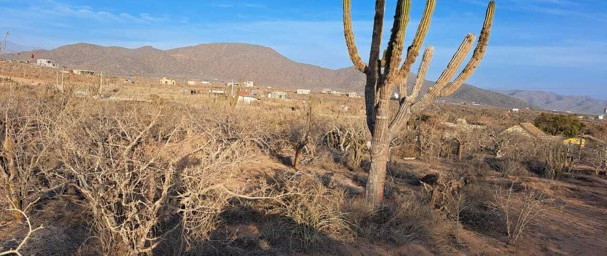Foto de terreno habitacional en venta en salsipuedes , los cerritos, la paz, baja california sur, 0 No. 04