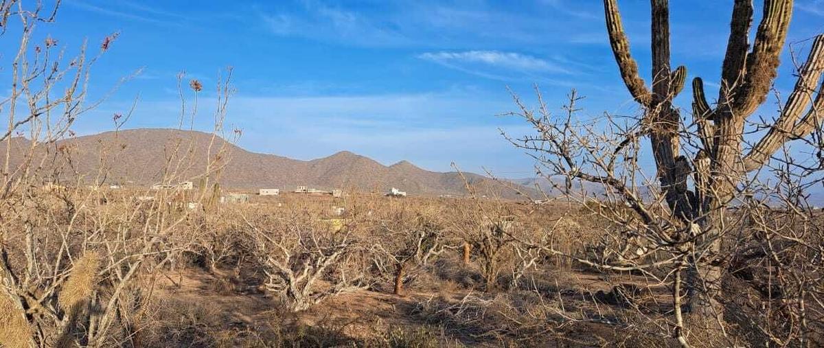 Foto de terreno habitacional en venta en salsipuedes , los cerritos, la paz, baja california sur, 0 No. 05