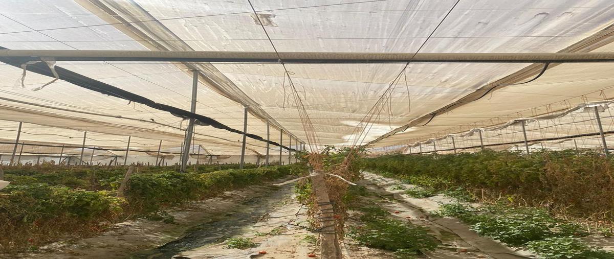 Foto de rancho en venta en  , saltillo 2000, saltillo, coahuila de zaragoza, 27158392 No. 03