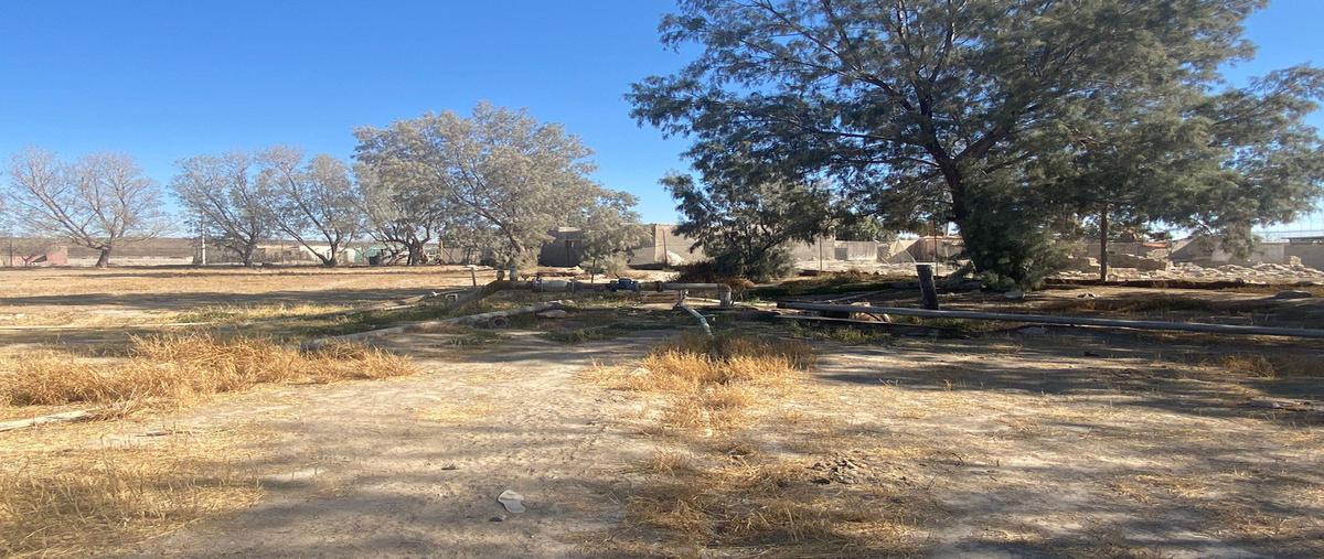 Foto de rancho en venta en  , saltillo 2000, saltillo, coahuila de zaragoza, 27158392 No. 04