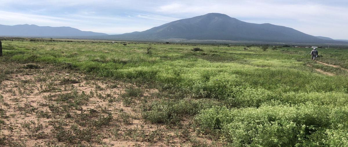 Foto de rancho en venta en  , saltillo 2000, saltillo, coahuila de zaragoza, 27158392 No. 05