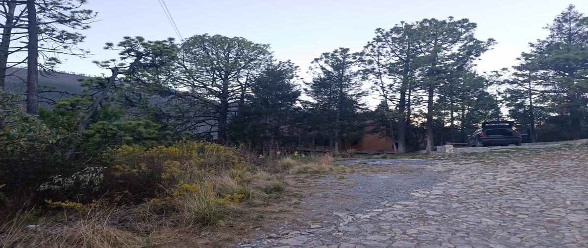 Foto de terreno habitacional en venta en  , saltillo 2000, saltillo, coahuila de zaragoza, 0 No. 03