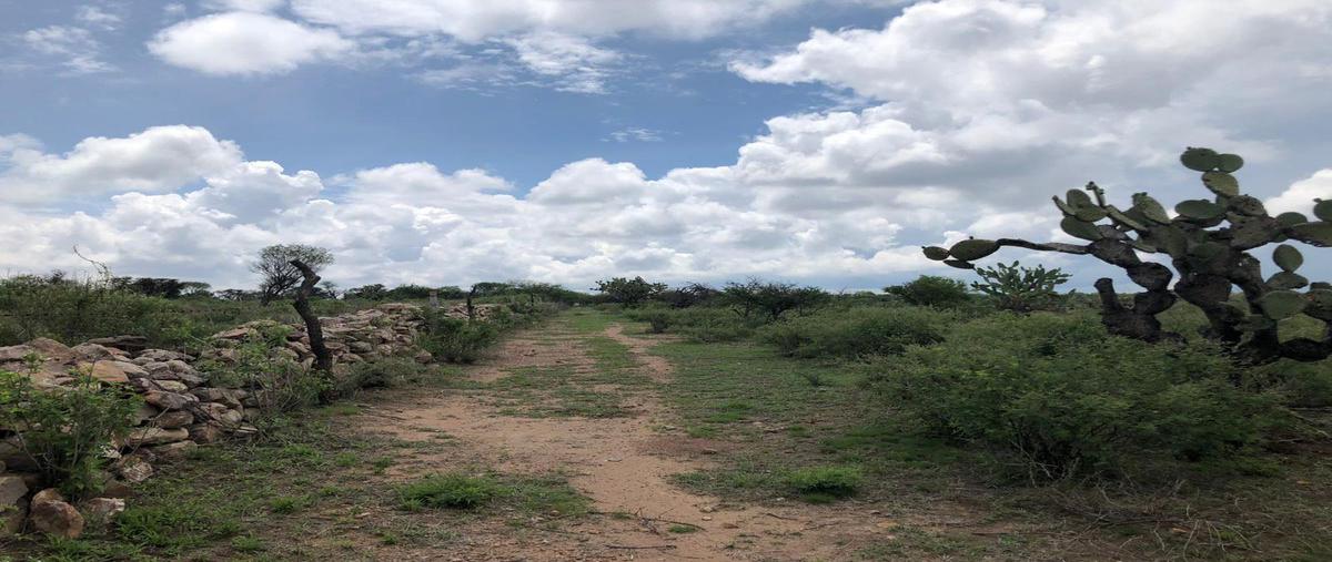Foto de terreno habitacional en venta en  , salto de los salados, aguascalientes, aguascalientes, 0 No. 05
