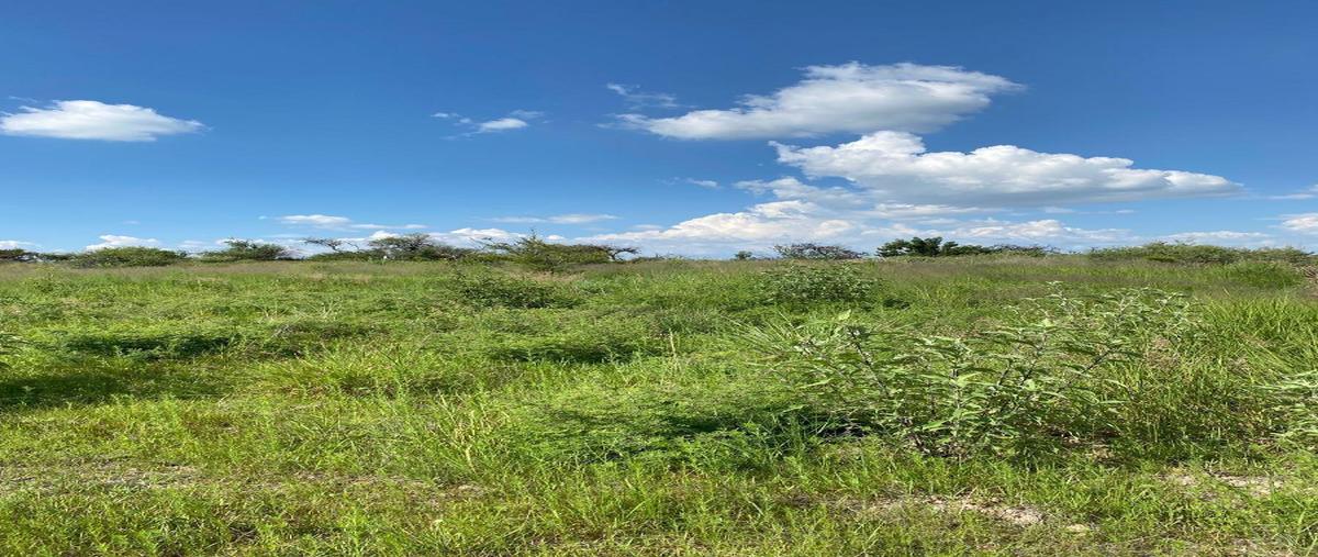 Foto de terreno habitacional en venta en  , salto de los salados, aguascalientes, aguascalientes, 29828754 No. 04