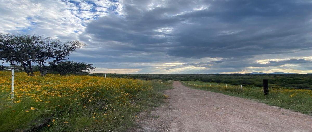 Foto de terreno habitacional en venta en  , salto de los salados, aguascalientes, aguascalientes, 29828754 No. 05