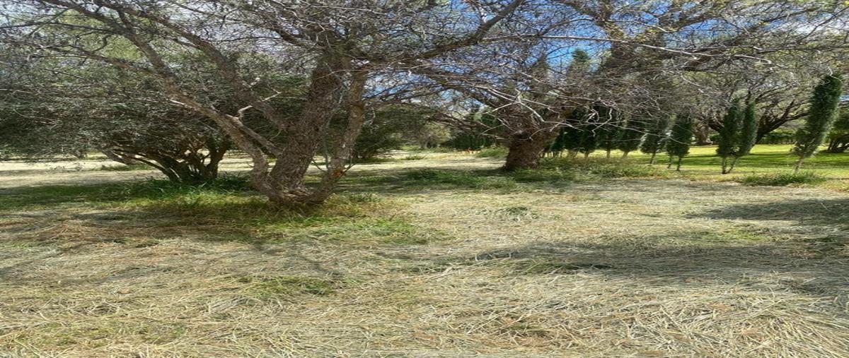 Foto de terreno habitacional en venta en  , salto de los salados, aguascalientes, aguascalientes, 30359362 No. 03
