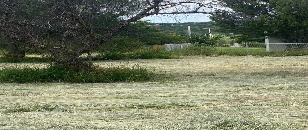 Foto de terreno habitacional en venta en  , salto de los salados, aguascalientes, aguascalientes, 30359362 No. 05