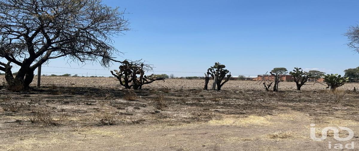 Foto de terreno habitacional en venta en salto de montoro , norias de cedazo (cedazo norias de montoro), aguascalientes, aguascalientes, 30827269 No. 03