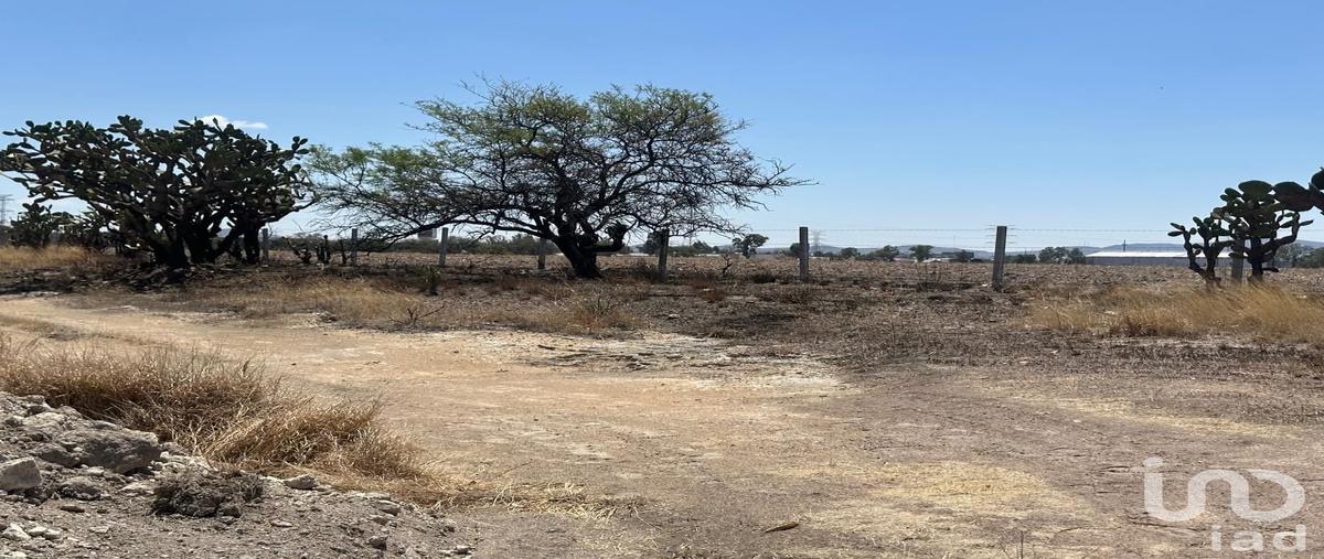 Foto de terreno habitacional en venta en salto de montoro , norias de cedazo (cedazo norias de montoro), aguascalientes, aguascalientes, 30827269 No. 05