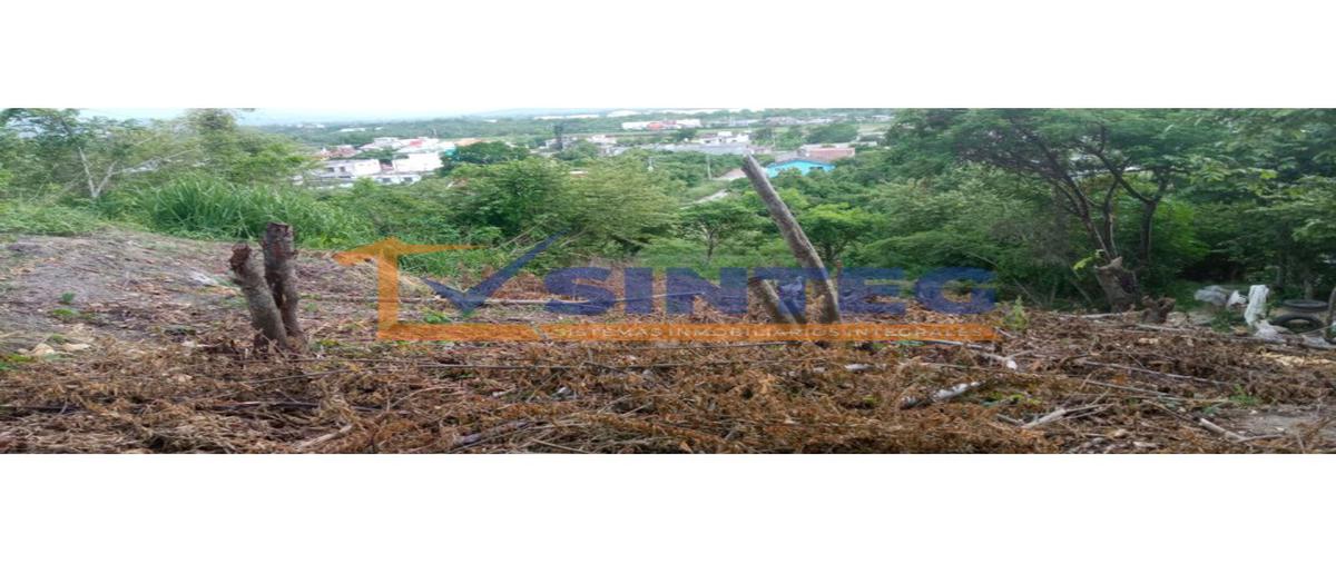 Foto de terreno habitacional en venta en  , salvador allende, poza rica de hidalgo, veracruz de ignacio de la llave, 26310346 No. 05