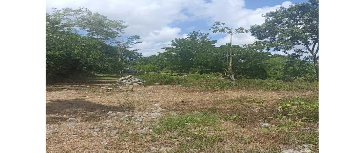 Foto de terreno habitacional en , salvador alvarado sur ii, mérida, yucatán, 25477622 foto 02 Foto de terreno habitacional en venta en , salvador alvarado sur ii, mérida, yucatán, 25477622 No. 02