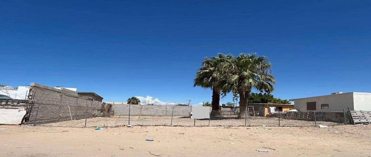 Foto de terreno habitacional en salvador cabrales , josé lópez portillo, puerto peñasco, sonora, 31718859 foto 02 Foto de terreno habitacional en venta en salvador cabrales , josé lópez portillo, puerto peñasco, sonora, 31718859 No. 02