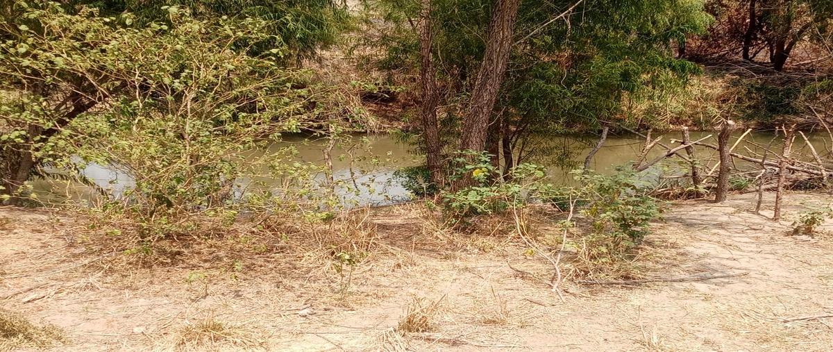 Foto de terreno habitacional en , salvador urbina, chiapa de corzo, chiapas, 30279851 foto 01 Foto de terreno habitacional en venta en , salvador urbina, chiapa de corzo, chiapas, 30279851 No. 01