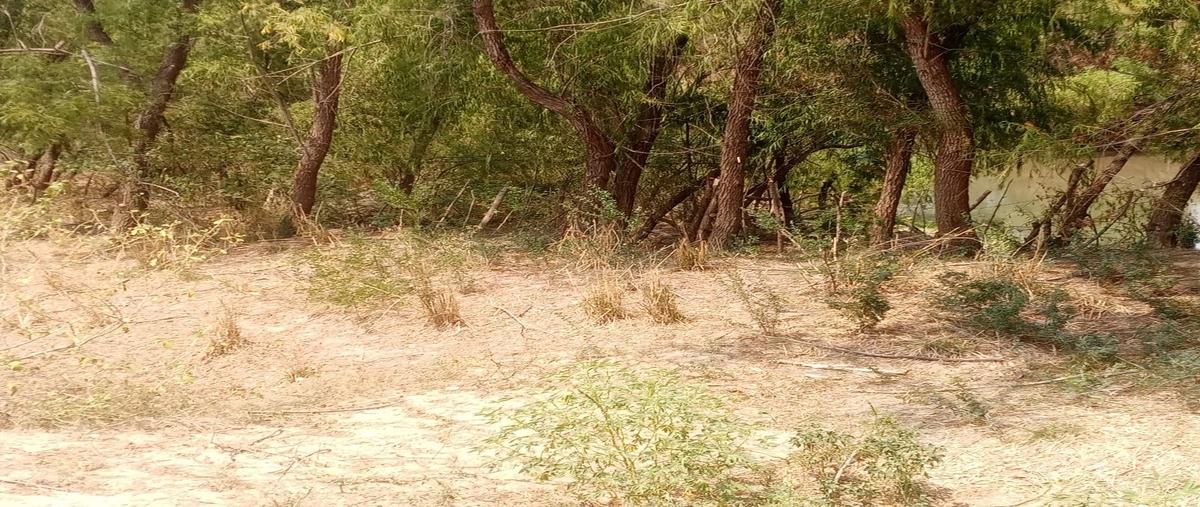 Foto de terreno habitacional en , salvador urbina, chiapa de corzo, chiapas, 30279851 foto 02 Foto de terreno habitacional en venta en , salvador urbina, chiapa de corzo, chiapas, 30279851 No. 02