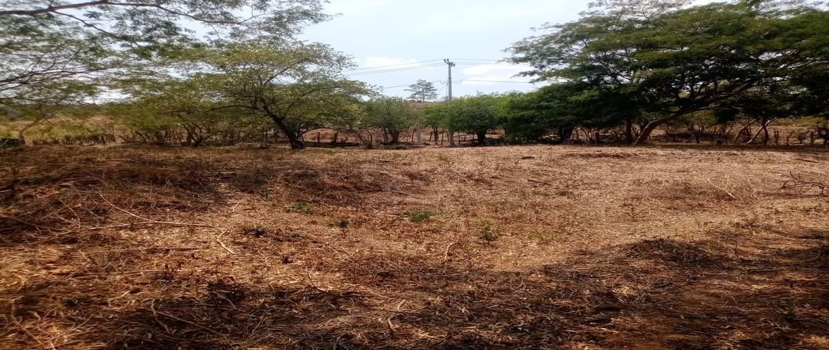 Foto de terreno habitacional en , salvador urbina, chiapa de corzo, chiapas, 30279851 foto 03 Foto de terreno habitacional en venta en , salvador urbina, chiapa de corzo, chiapas, 30279851 No. 03