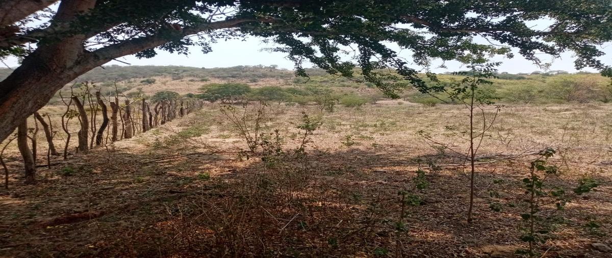 Foto de terreno habitacional en , salvador urbina, chiapa de corzo, chiapas, 30279851 foto 04 Foto de terreno habitacional en venta en , salvador urbina, chiapa de corzo, chiapas, 30279851 No. 04