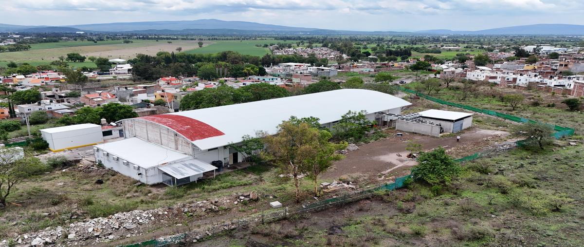 Foto de nave industrial en venta en  , salvatierra centro, salvatierra, guanajuato, 28295890 No. 03