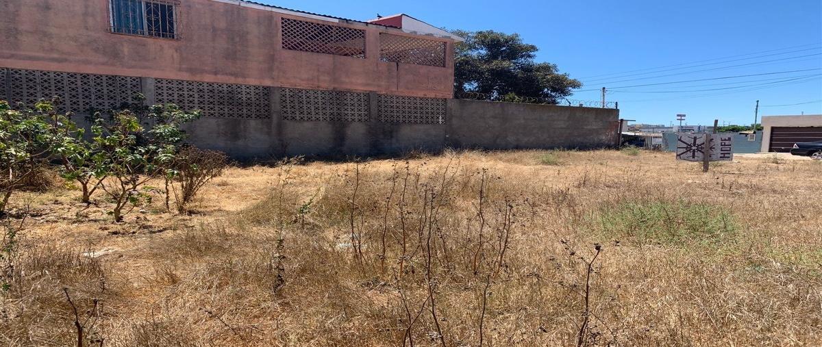 Foto de terreno habitacional en renta en salvatierra , salvatierra, tijuana, baja california, 25221508 No. 04