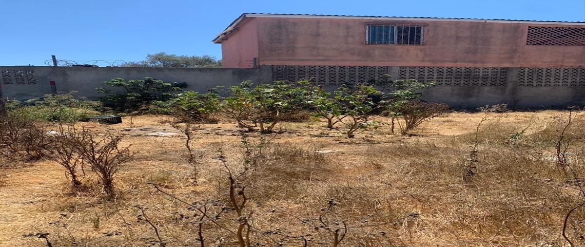 Foto de terreno habitacional en renta en salvatierra , salvatierra, tijuana, baja california, 25221508 No. 05