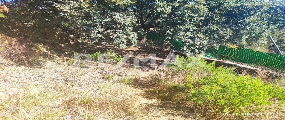 Foto de terreno habitacional en venta en salvatierra , santa rosa de lima, guanajuato, guanajuato, 30899965 No. 03