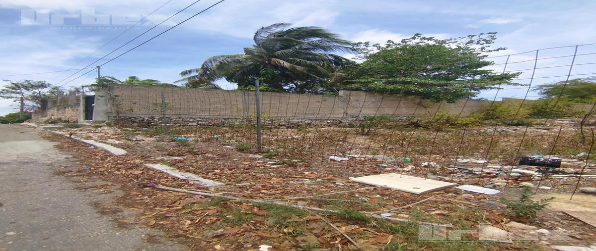 Foto de terreno habitacional en , samula, campeche, campeche, 0 foto 02 Foto de terreno habitacional en venta en , samula, campeche, campeche, 0 No. 02