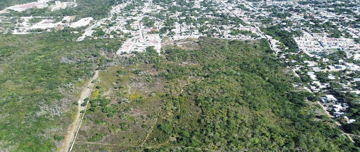 Foto de terreno habitacional en venta en samula , samula, campeche, campeche, 0 No. 04