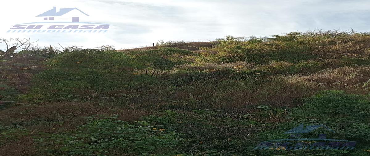 Foto de terreno habitacional en venta en  , san agustin, acapulco de juárez, guerrero, 29297753 No. 04