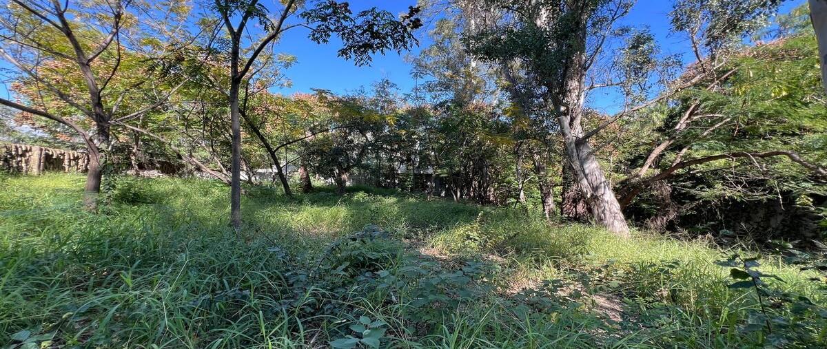 Foto de terreno habitacional en san agustín , antigua hacienda san agustin, san pedro garza garcía, nuevo león, 30646084 foto 04 Foto de terreno habitacional en venta en san agustín , antigua hacienda san agustin, san pedro garza garcía, nuevo león, 30646084 No. 04