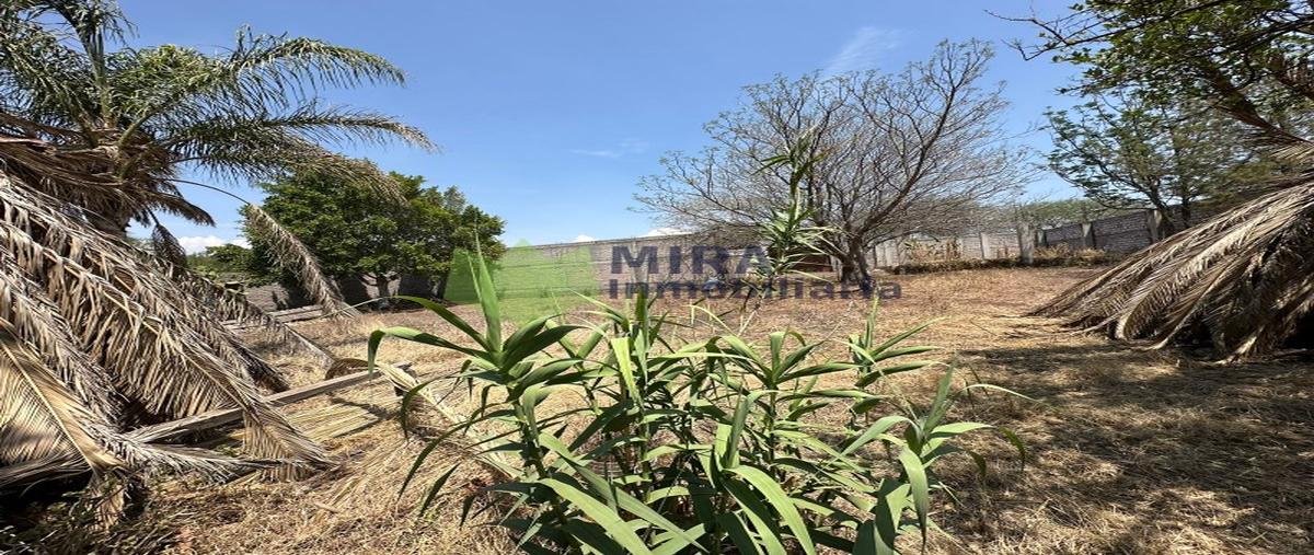 Foto de terreno comercial en venta en  , san agustín del pulque, cuitzeo, michoacán de ocampo, 28004598 No. 05