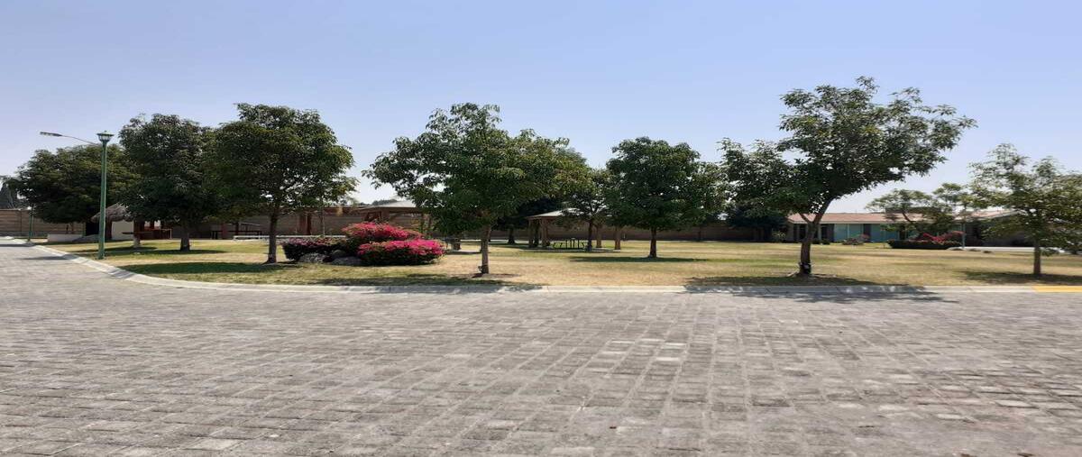 Foto de terreno habitacional en venta en  , san agustín ixtahuixtla, atlixco, puebla, 30263769 No. 02