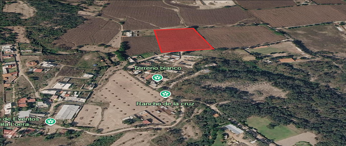 Foto de terreno habitacional en venta en  , san agustin, tlajomulco de zúñiga, jalisco, 0 No. 05