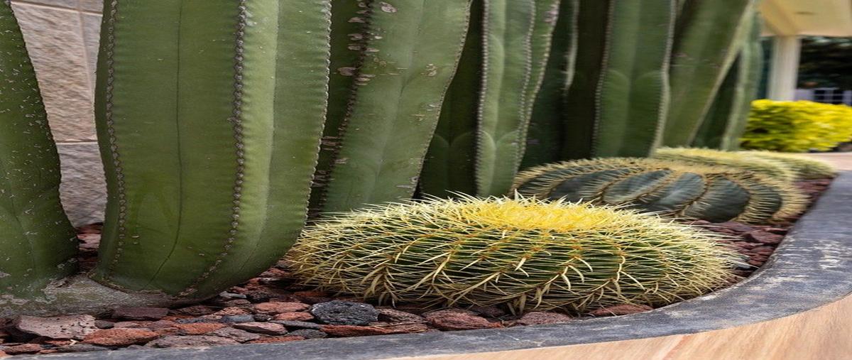 Foto de casa en renta en  , san agustin yatareni, san agustín yatareni, oaxaca, 30866532 No. 05